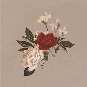 Meet your Posher, Shyann